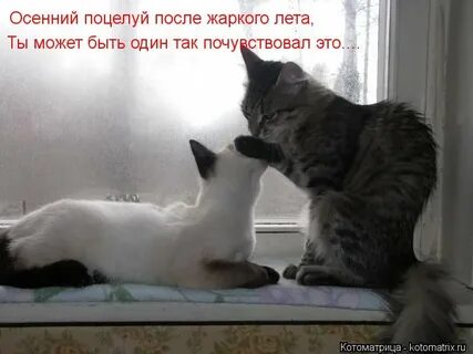 Слова после поцелуя