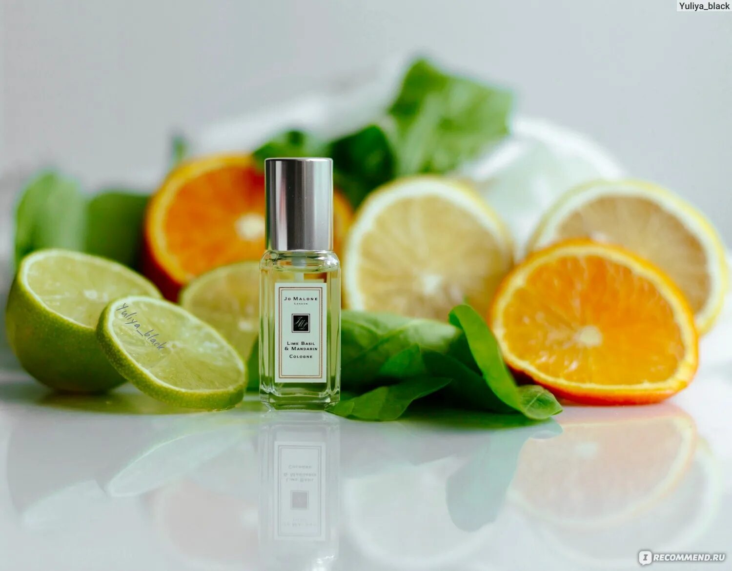 Джо Малон лайм базилик. Джо Малон Lime Basil Mandarin. Jo Malone Lime Basil & Mandarin Cologne 30 ml. Jo Malone Lime Basil & Mandarin 30ml. Лайм базилик мандарин