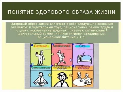 Понятие жизнь организм