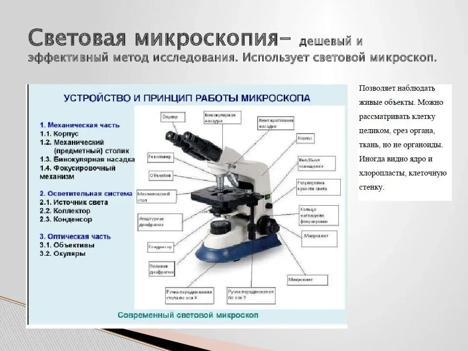 Какую функцию выполняет объектив при работе микроскопа. Строение микроскопа оптического микроскопа. Макровинт у светового микроскопа. Схема устройства светового микроскопа. Строение светового монокулярного микроскопа.