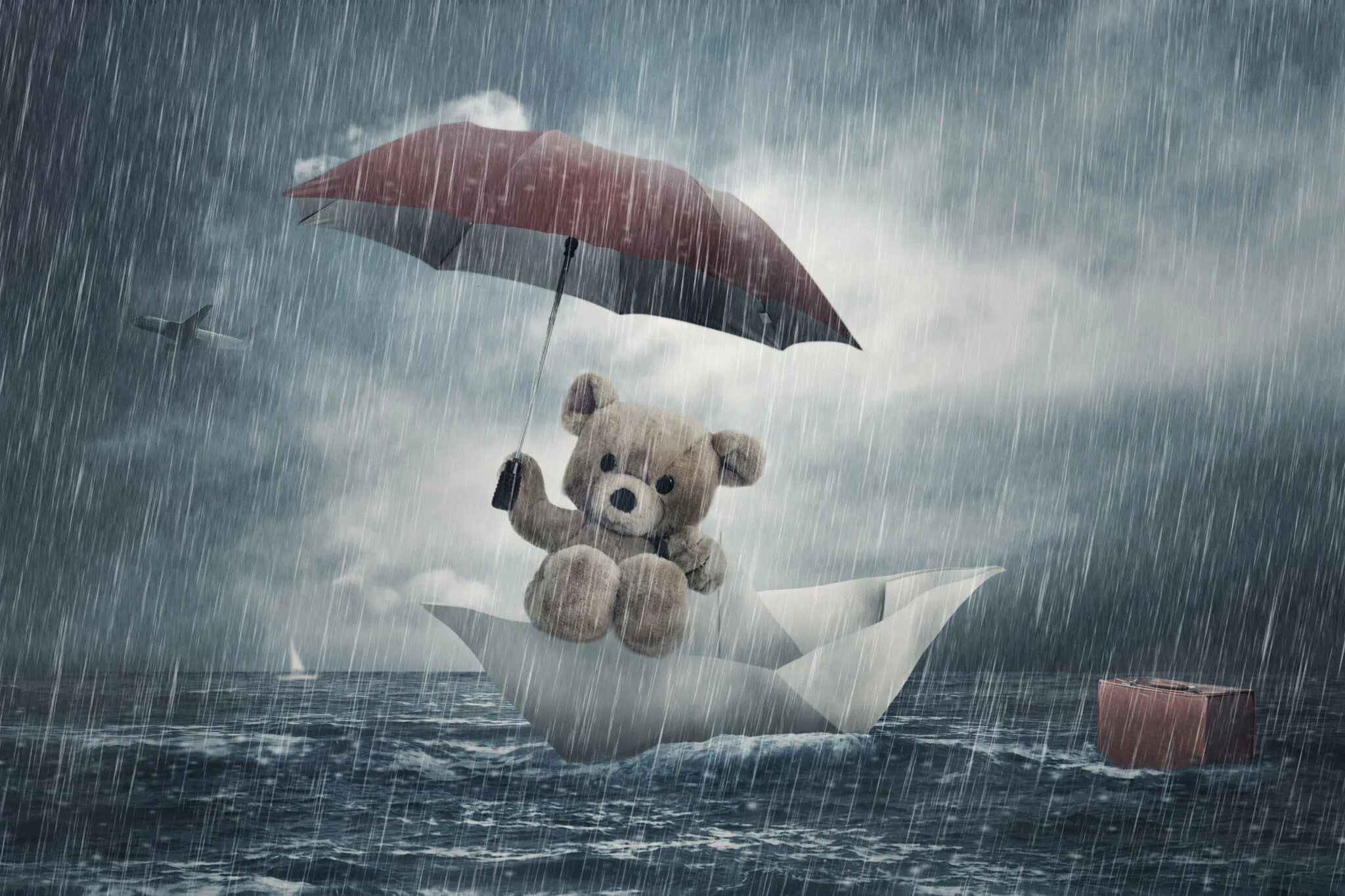 медведь сидит. медвежонок. сибирский бурый медведь. медведь дождь. медведь дождь.