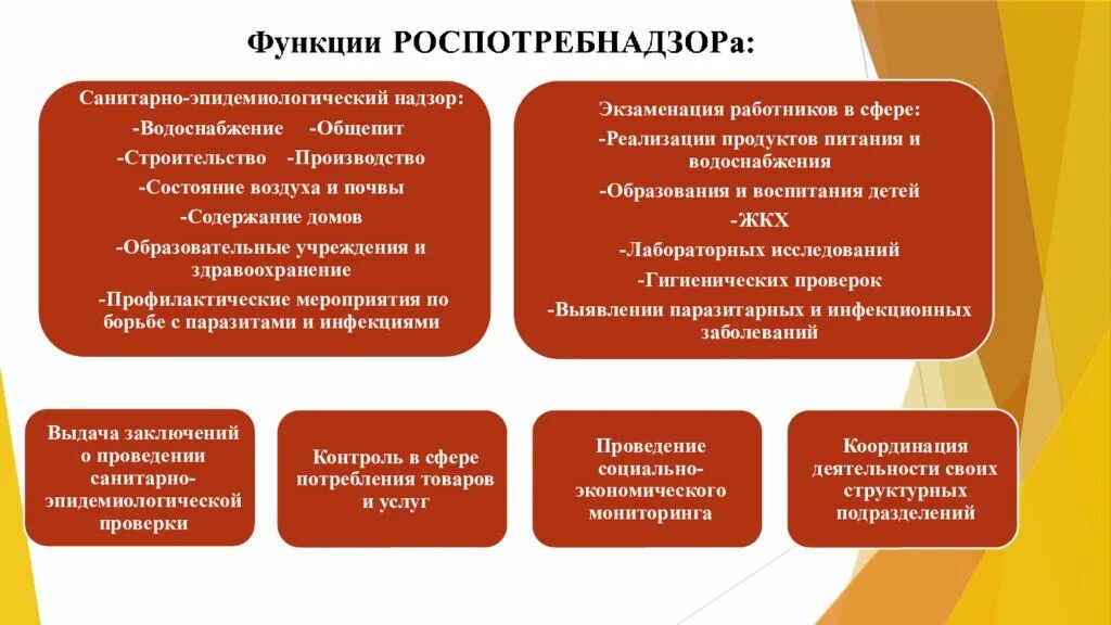 Роль органов и учреждений. Структура службы Роспотребнадзора РФ. Роспотребнадзор основные функции. Задачи Роспотребнадзора. Виды деятельности Роспотребнадзора.