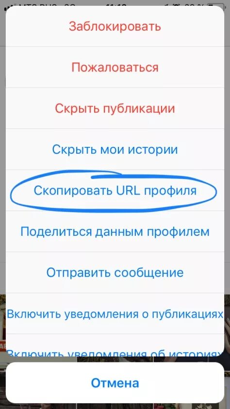 URL профиля. Что такое URL В инстаграме. Где найти URL В инстаграме. Профиль на телефон.