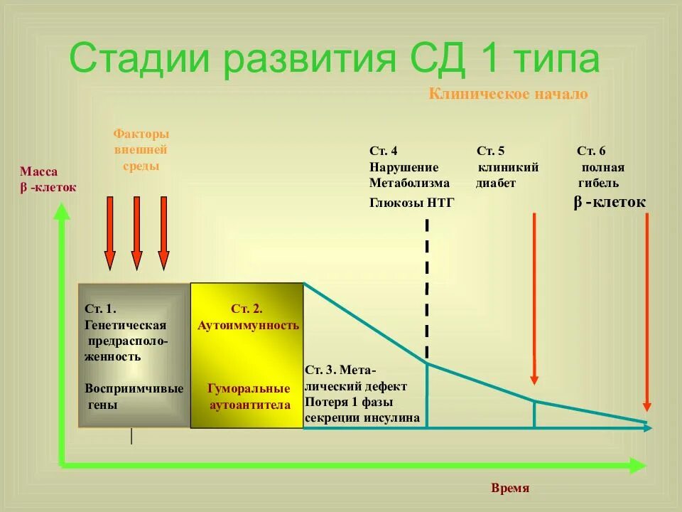 Сахарный диабет стадии. Фазы диабета 1 типа. Стадии развития сахарного диабета 1 типа. СД 1 типа инсулин. Стадии развития СД 1 типа.