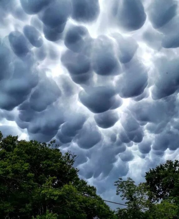 Облака какое явление. Облака мамматус атмосферное явление. Вымеобразные трубчатые облака. Мамматусы вымеобразные облака. Кучево-дождевые вымеобразные облака.