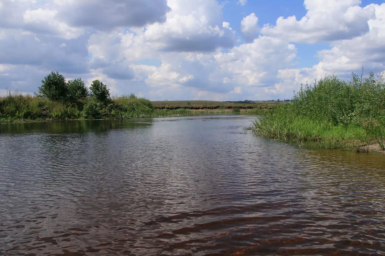 Кутки воронежская область