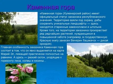 Проекты республики марий эл