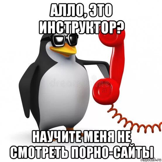 Мем ало я на месте. Але. Лиля Алло. 8 800 555 35 35 Проще.