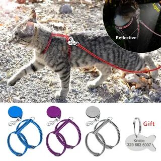 Cat s name is