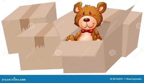 The teddy bear is the box