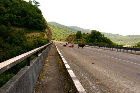 Какая дорога в грузию