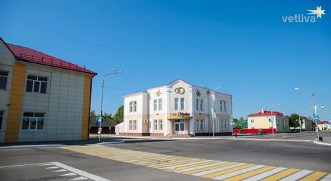 Минск хойники