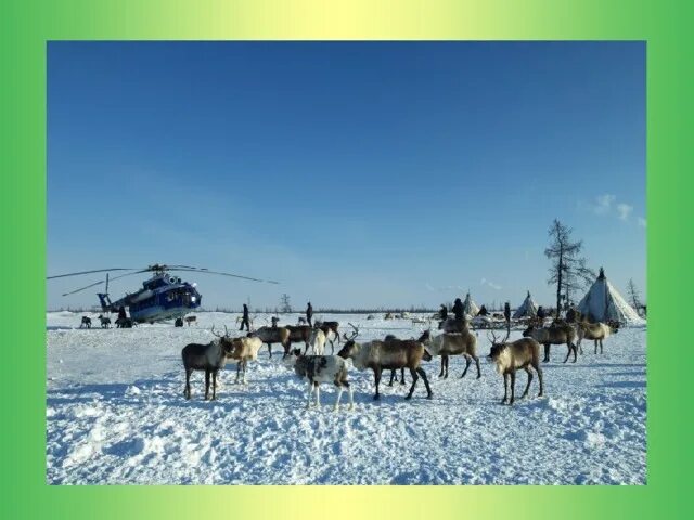 Как выглядит север россии Как выглядит Север России с высоты АН-24 ЯПлакалъ