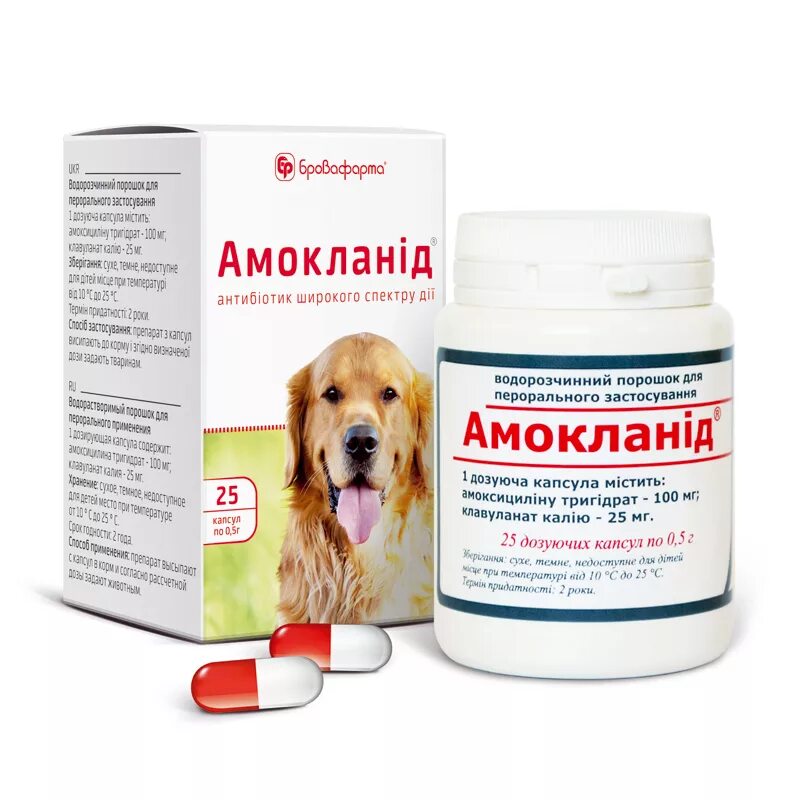 Какими антибиотиками лечить собаку