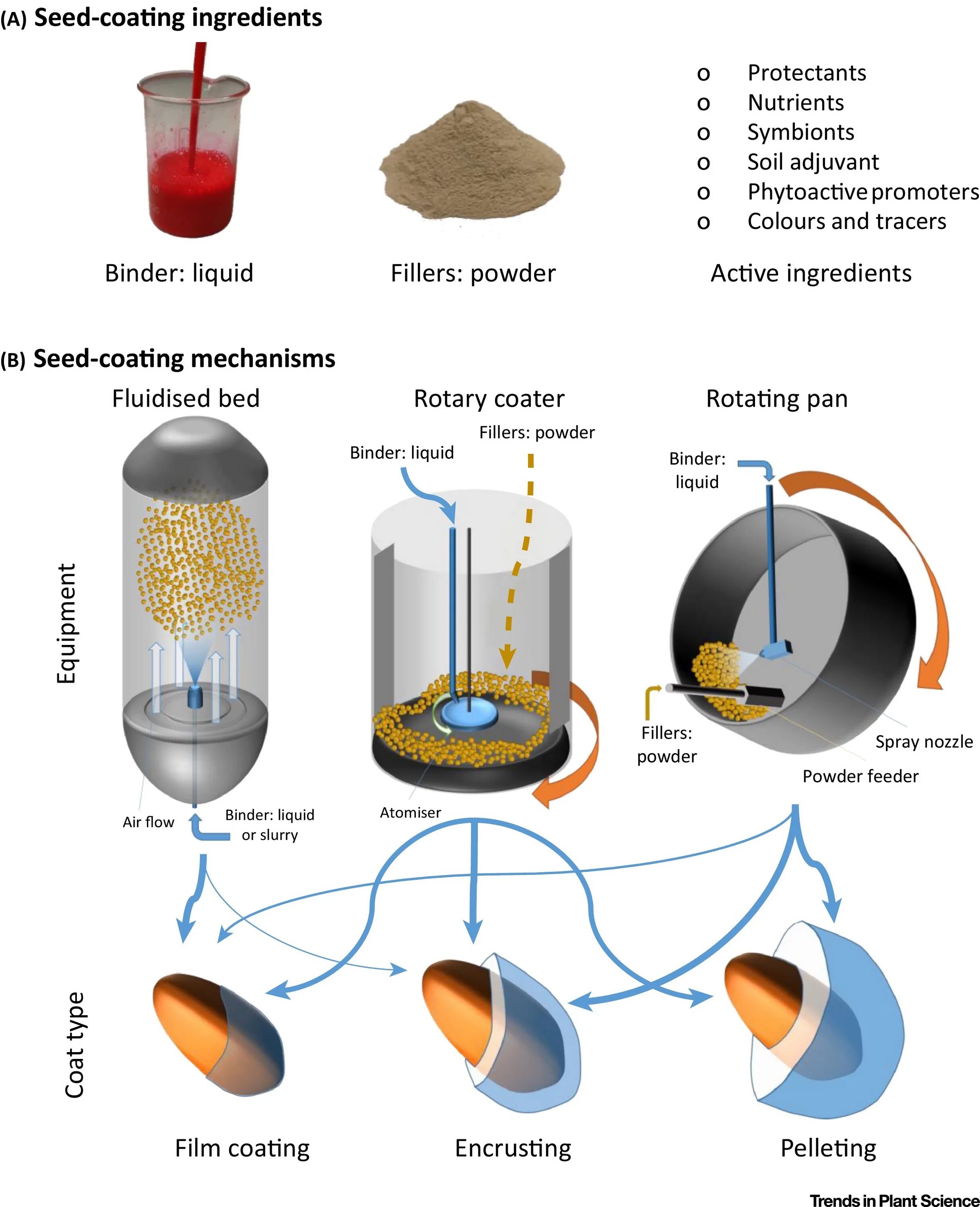 Coating article. Seed coat это. coating seeds. коутинг цветной /компонент а/. 3d модель seed drier.