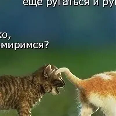 Мирись и больше не дерись. Мирись мирись мирись и больше не. Мирись мирись и больше не дерись а если. Картинка мирись мирись и больше не дерись с любовью. Мирить мириться рассердить рассердиться