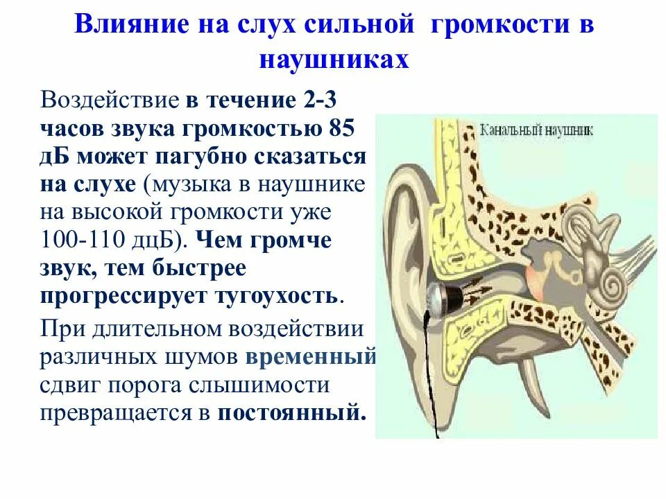 Воздействие шума на слух человека. Влияние звука на слух. Влияние звука на слух человека. Влияние шума на слуховой анализатор.