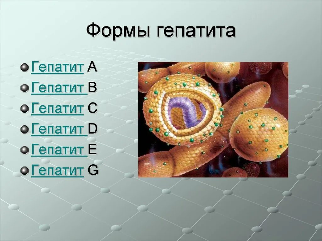 Типы вирусных гепатитов. Формы гепатита. Гепатит а формы гепатита. Виды вирусных гепатитов.