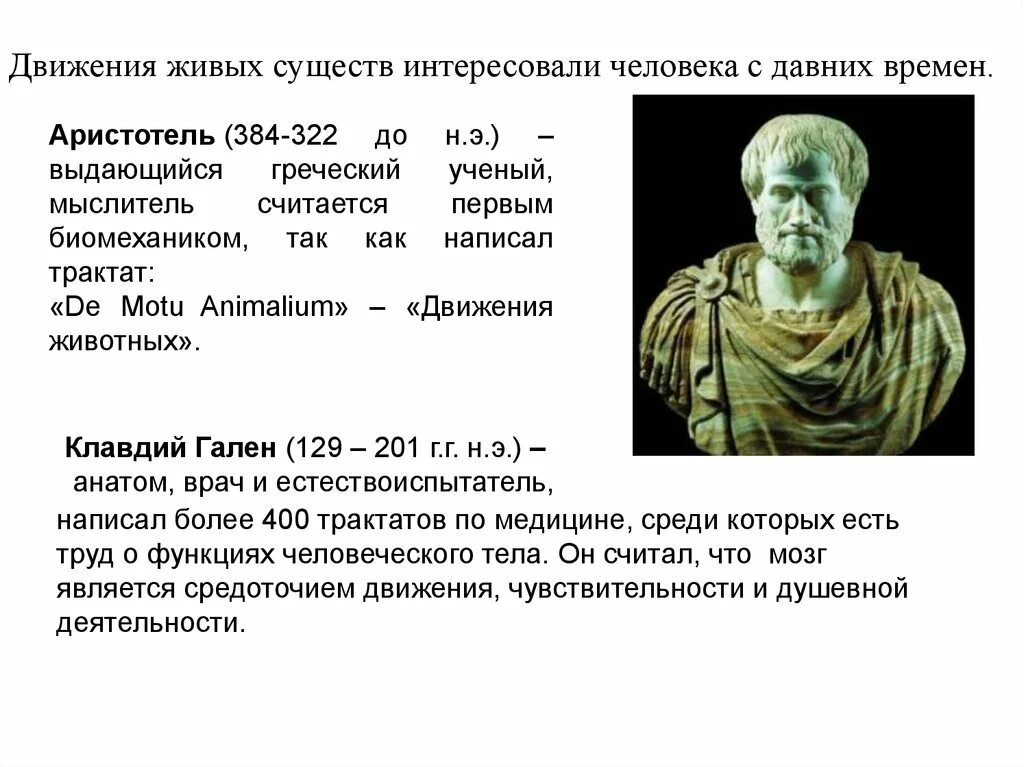 Аристотель (384-322 гг. до н.э.). Аристотель биомеханика. Движение Аристотель. Аристотель о человеке.