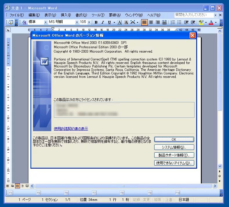 Ворд 2003 на русском. Офис ворд 2003. Microsoft Office Word 2003. Программа Microsoft Office Word 2003. Назначение MS Word 2003.