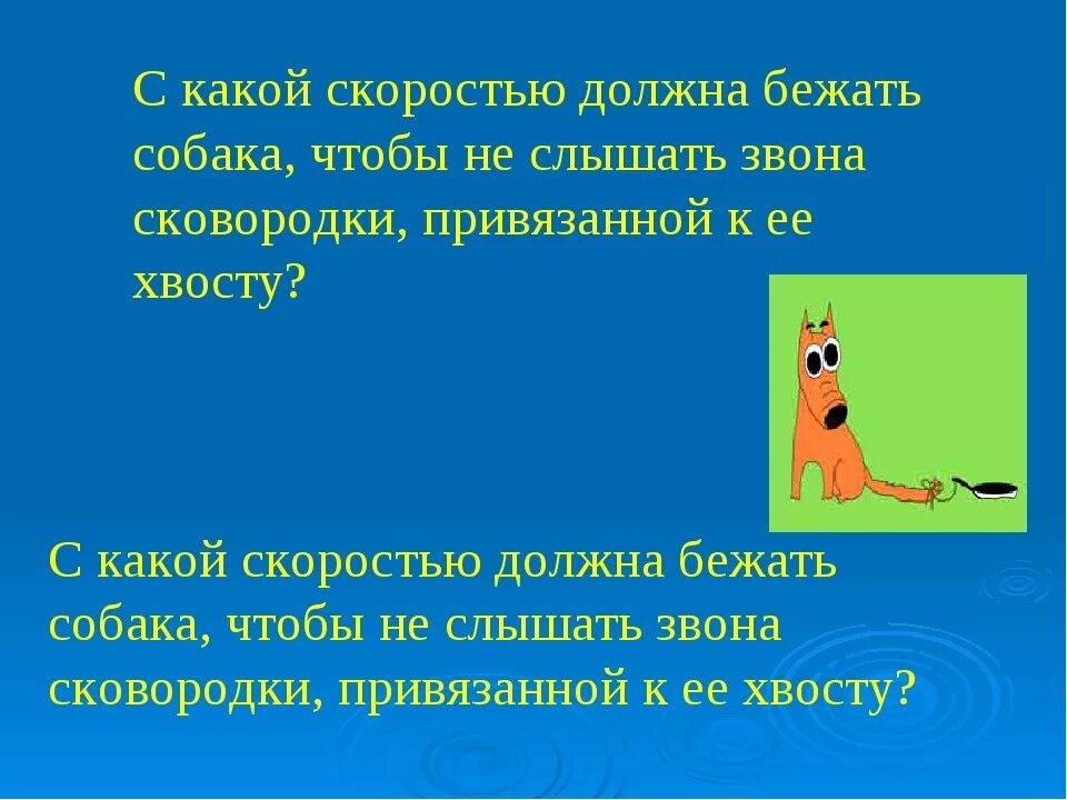 С какой скоростью бегают собаки. Средняя скорость бега собаки. С какой скоростью должна бежать собака. С какой скоростью должна бегать собака. Валера бежит за щенком со скоростью