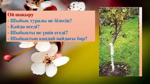 Маскүнем күйеуі ұйықтайды, ал әйелі трахает.