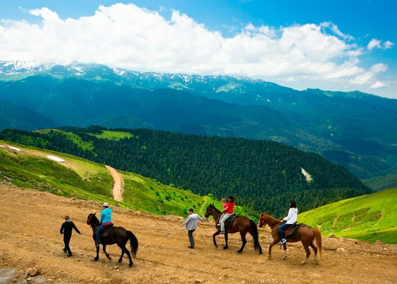 Конные прогулки красная Поляна Сочи. Конная прогулка в горах Кыргызстан. Конный поход Архыз. Тур виден