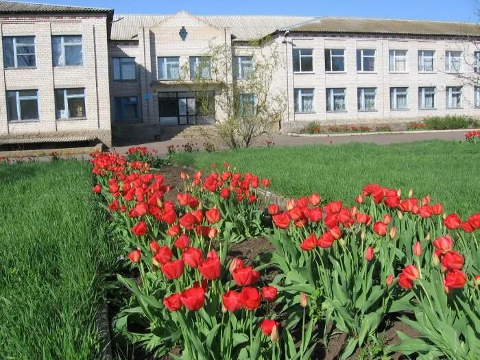 Погода в новомихайловке оренбургская область