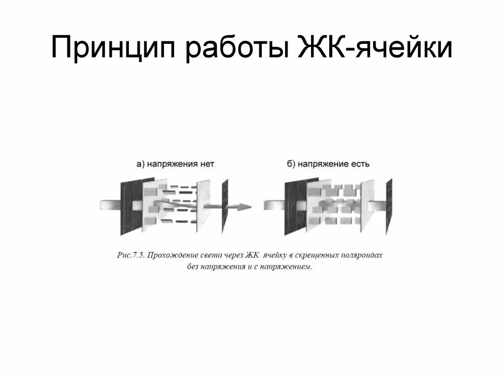 Принцип работы жк. Принцип работы ЖК-ячейки.. Принцип действия ЖК ячейки. Принцип работы жидкокристаллической ячейки. Жидкие Кристаллы принцип работы.