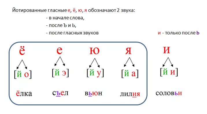 Ошибка звуко. Гласные буквы обозначающие 2 звука. Гласные обозначают 2 звука схема. Гласные обозначающие 2 звука 1 класс. Гласные второго ряда обозначают 2 звука.