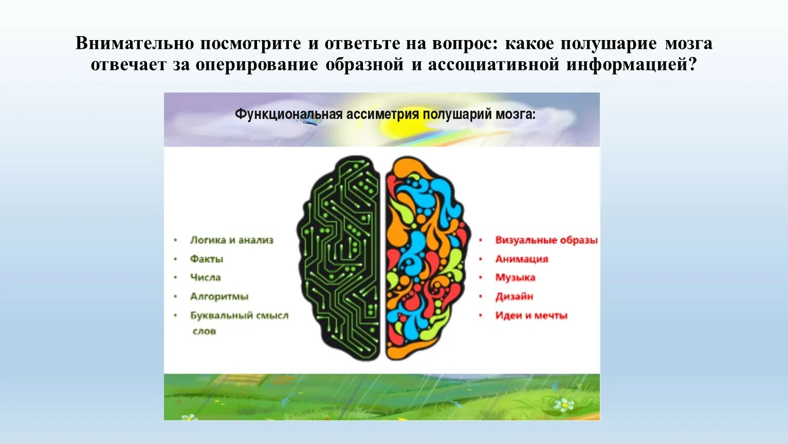 Какое полушарие головного мозга. Полушария головного мозга. Правое полушарие головного мозга. Головной мозг 2 полушария. Левое и правое полушарие.