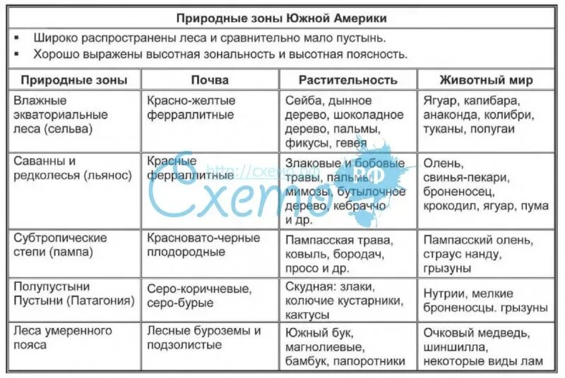 Природные зоны Южной Америки 7 класс таблица. Природные зоны Южной Америки схема таблица. Природные зоны Южной Америки таблица 7 класс география. Таблица природные зоны Южной Америки 7 класс география таблица. Заполнить таблицу природные зоны северной америки