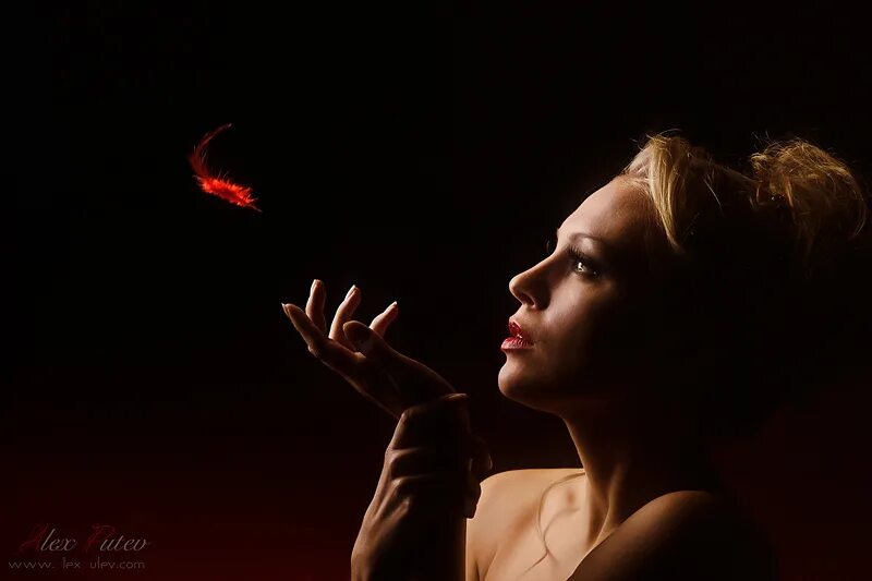 Ты лети моя душа к половиночке моей. Андрей бандера ноты. Лети душа к половиночке моей. Ты лети моя душа к половиночке моей. Ты лети моя душа рада рай и бандера слова.