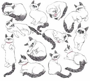 Рисовка кошки