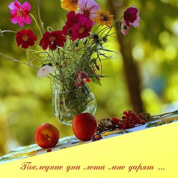 поздравление с последним днем лета. цитаты про лето. крайнее воскресенье лета. август воскресенье года. август воскресенье года.
