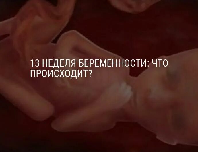 Не чувствую что беременна. Девятнадцатая неделя беременности. 19 Акушерская неделя беременности. 17-18 Недель беременности.