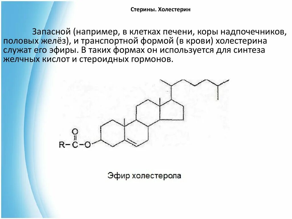 Холестерол применение