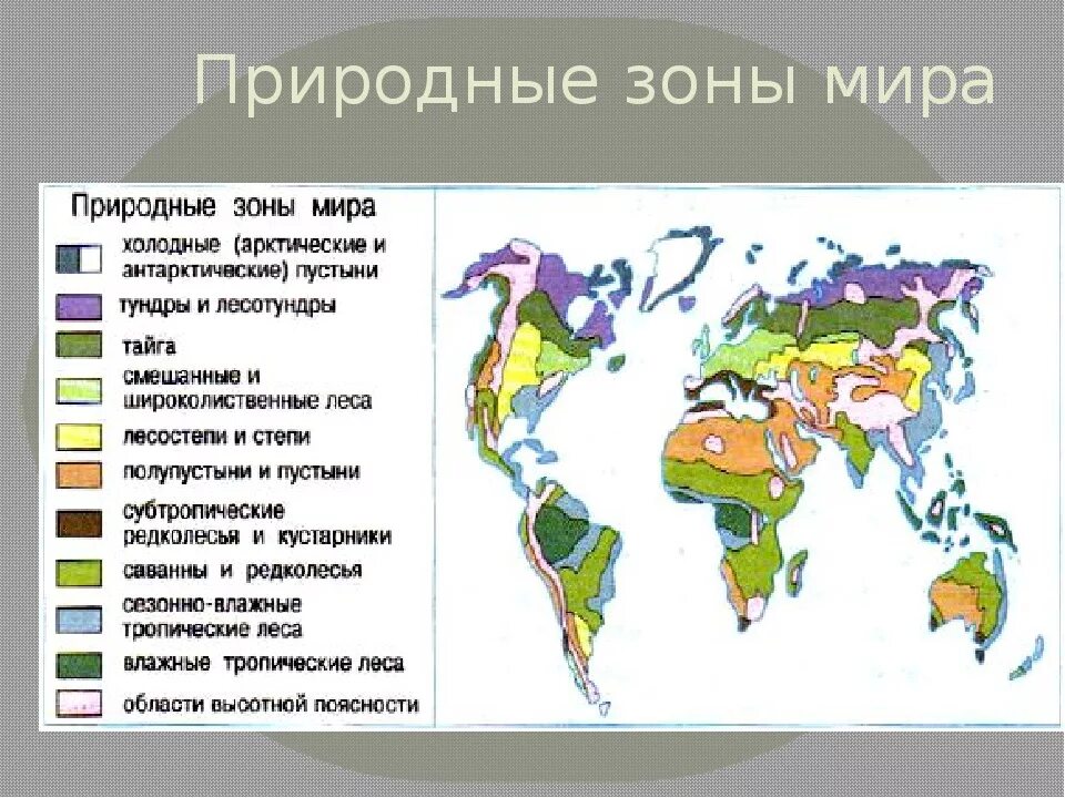 Природные зоны россии и материки. Природные зоны. Карта природных зон. Размещение природных зон на земле.