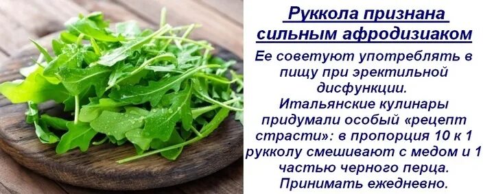 Руккола полезные. Польза рукколы для женщин в сыром. Руккола витамины. Руккола полезные. Eruca sativa руккола.