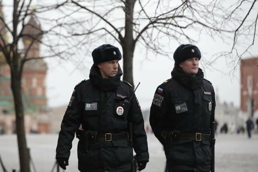 Ппс стена