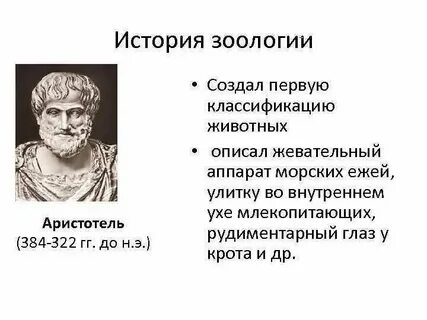 Таблица с характеристикой основных этапов развития зоологии