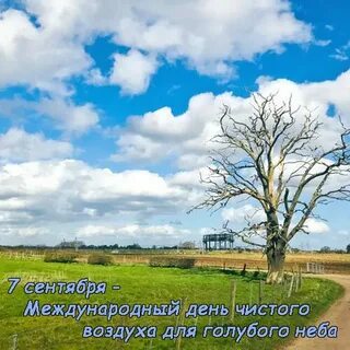 День чистого воздуха для голубого