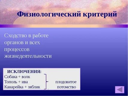 Сходство видов и внутренних процессов
