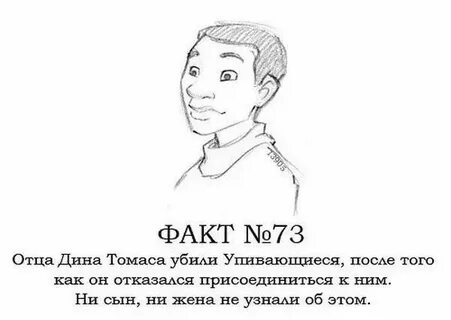 80 фактов