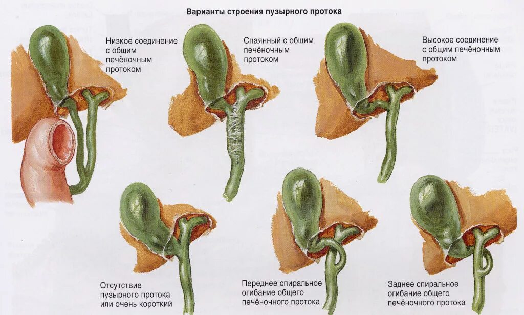 ГБУЗ "Туапсинская районная больница № 1" МЗ КК - Профилактика заболеваний