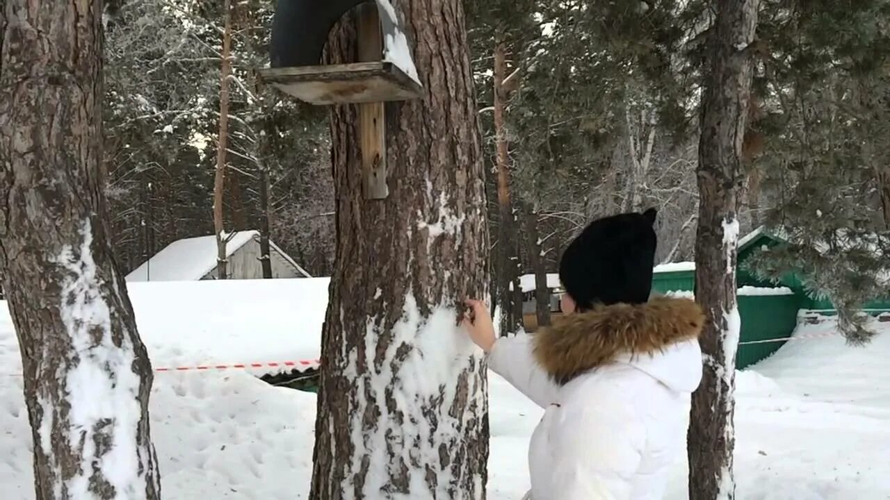 База отдыха белка на снежной. Белка на базе отдыха сказка. База Белочка. Стрельникова база йодоборный источник.