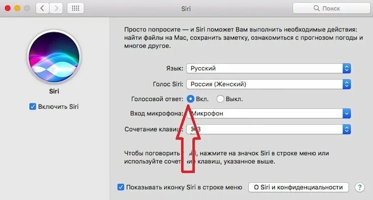 Почему не работает сири. Не работает сири. почему не работает siri. не работает сири на айфоне. почему не работает сири на айфоне 11.