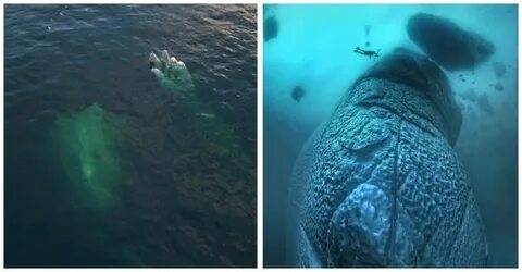 Какую страну назвали в честь морских глубин