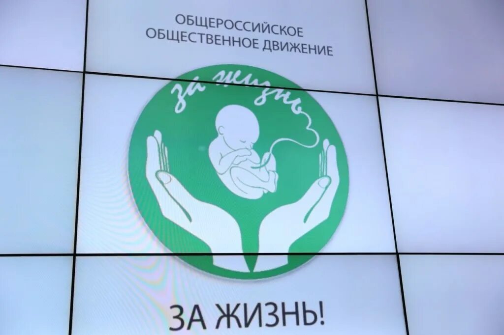 фонд защиты материнства