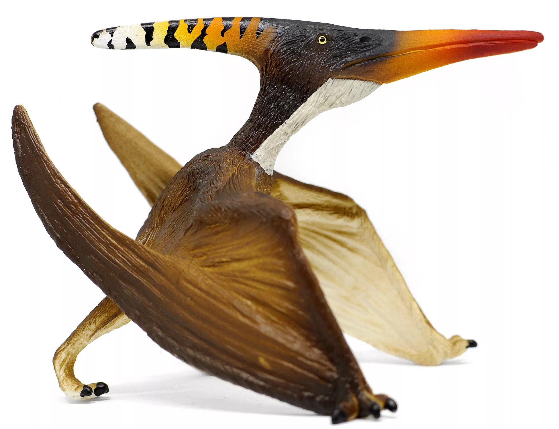 Pteranodon longiceps. Птеранодон динозавр. Череп птеранодона. Птеранодоны клюв. Птерадон